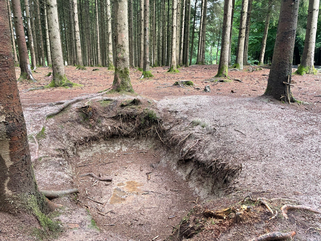 The worst shelling of the war: Easy Company in the Bois Jacques