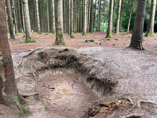 The worst shelling of the war: Easy Company in the Bois Jacques