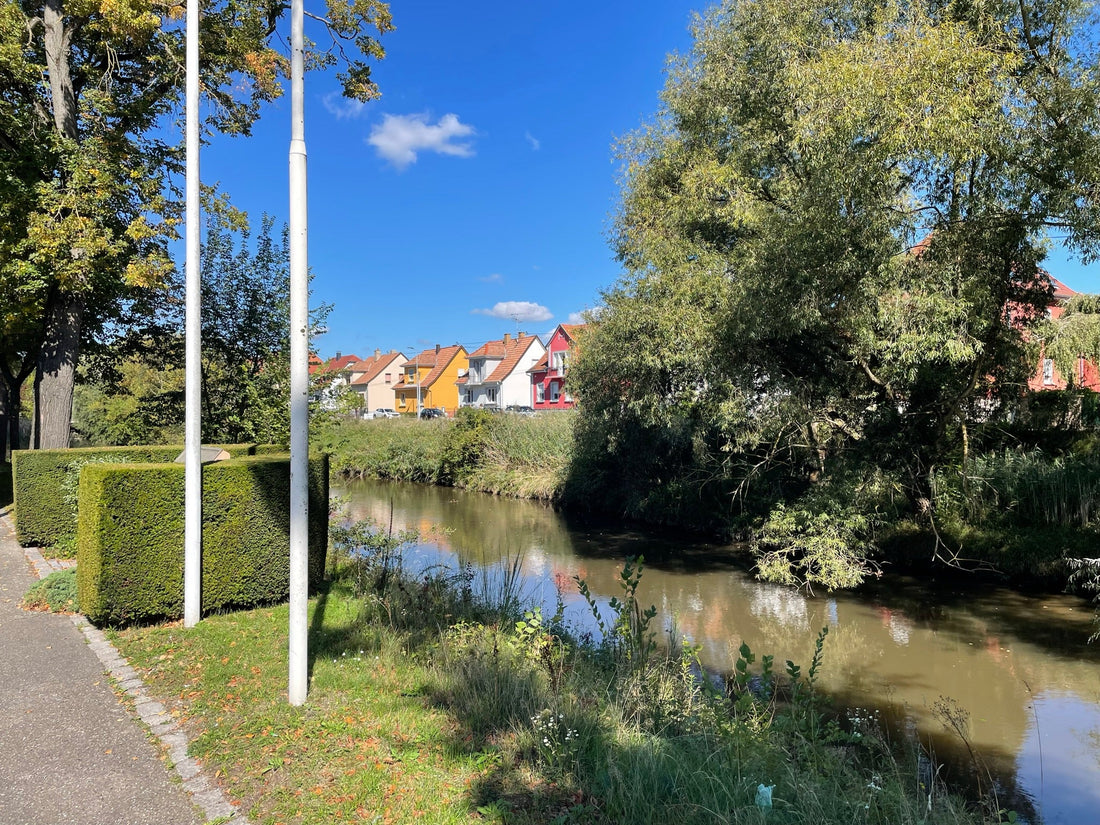 Visiting Haguenau — Where Easy Company Was Shelled by Big Bertha