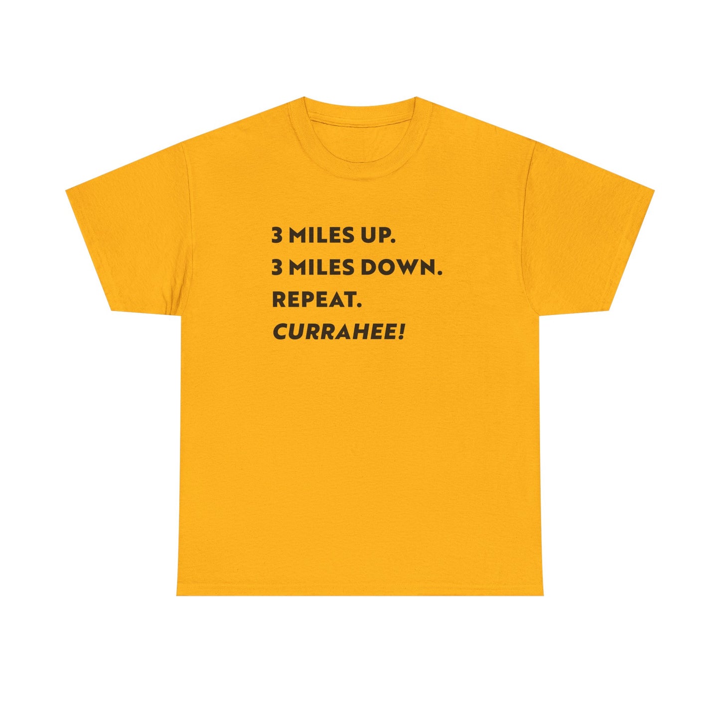3 Miles Up 3 Miles Down Tee — Band of Brothers Workout Shirt