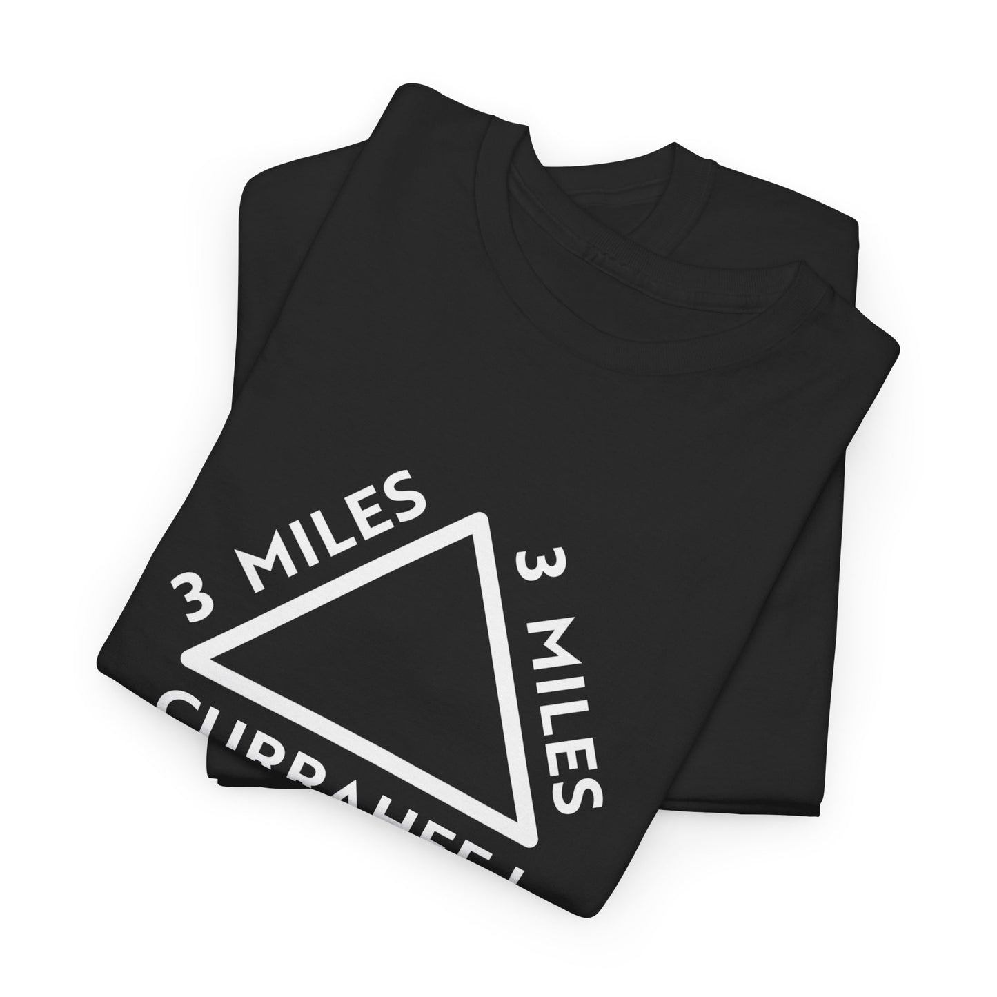We Stand Alone, Together — T-shirt