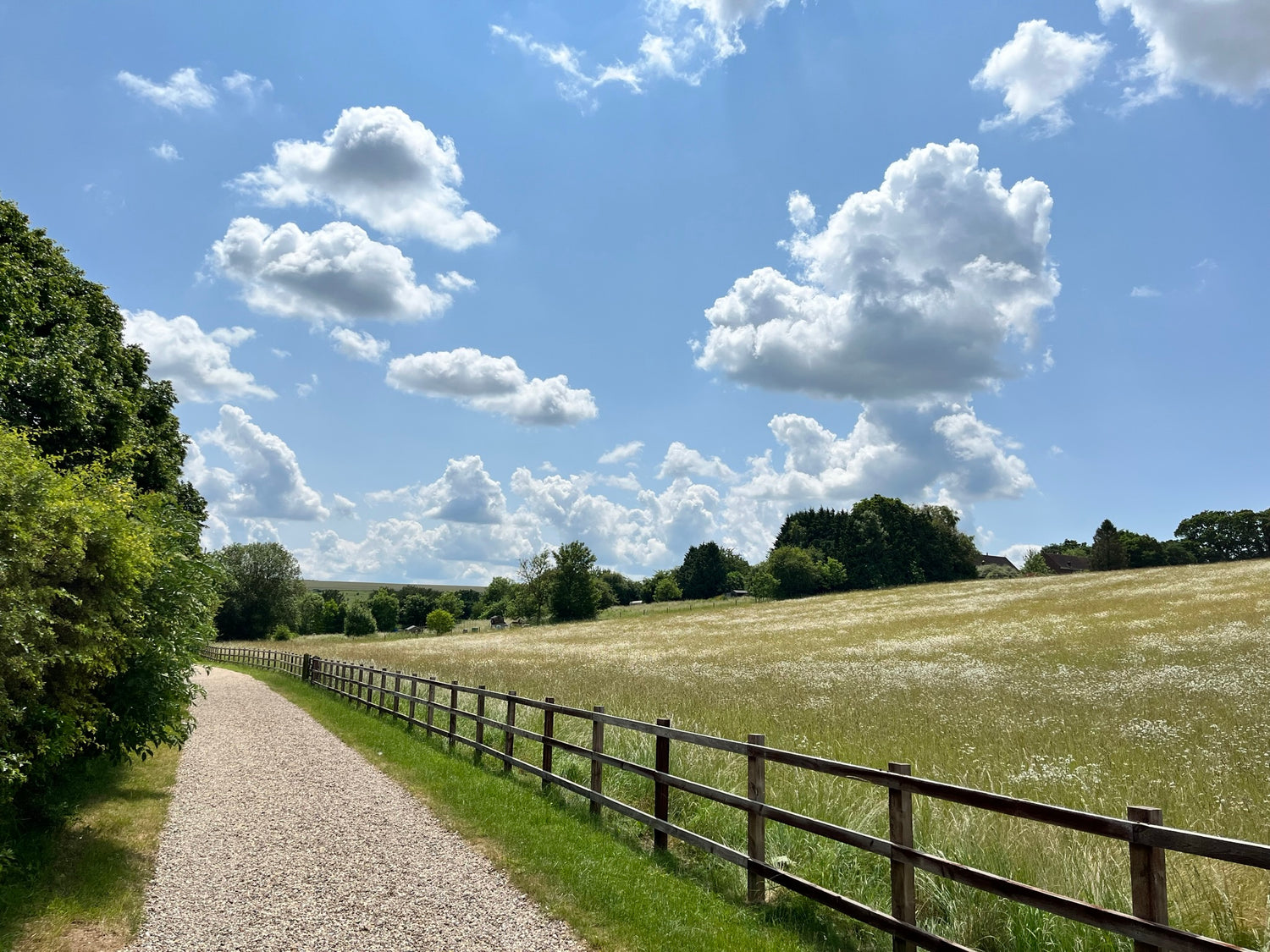 A walking trail outside of Ramsbury and Aldbourne