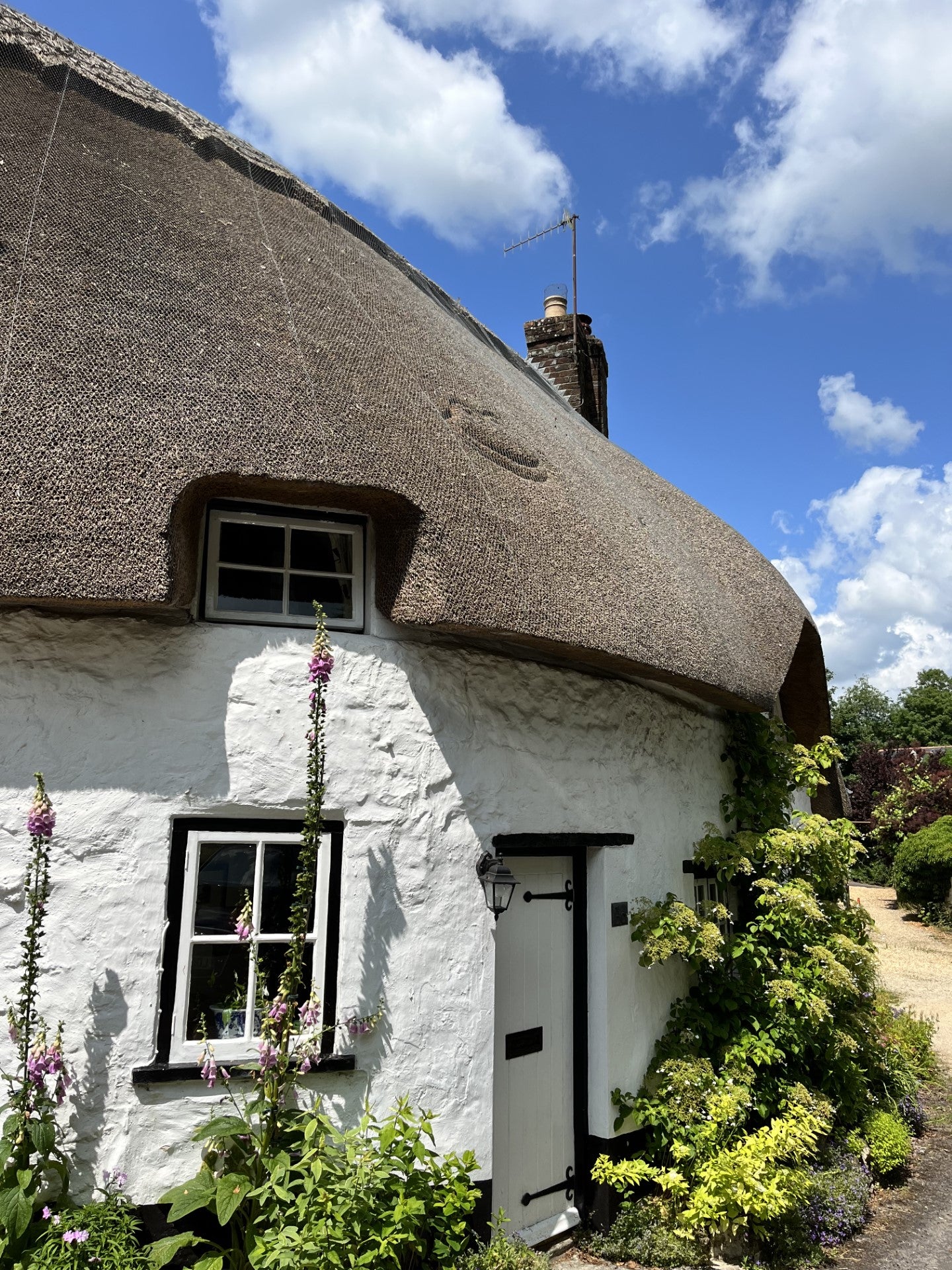 Thatched roof cottage with white walls and garden plants under a blue sky.